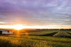 Check out our late summer sunset selection for the very best in unique or custom, handmade pieces from our shops. Beautiful Sunset Over Humble Farm During Peak Harvest Late Summer Stock Photo Image Of Field Dramatic 113271614