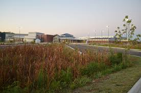 The New Kellam High School In Virginia Beach The Parking Lot Is Even Pretty Www Hbaonline Com Virginia Beach Virginia Virginia Beach Va