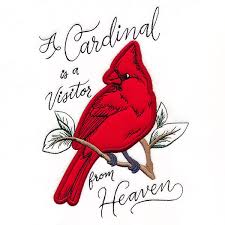 Image result for Cardinal Red 1956 Wayne Works