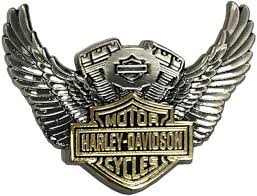 Image result for harley davidson wing