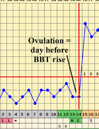 Bbt Charting Basics And Ovulation Fertility Fertility