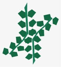 Seaweed spores are used in the farming skill and require level 23 in the skill to grow them. Seaweed Png Images Transparent Seaweed Image Download Pngitem