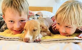 BULLETIN OCT 2020 NEW