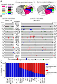 Although colour associations are often cultural, some have reported to have an innate effect on person's state of mind. Underlying Germline Cancer Associated Variants Mold The Somatic Download Scientific Diagram
