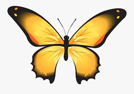 Meskipun keseruan foto itu terlihat sederhana, namun gambar tersebut dapat mengubah mood kamu. Yellow Butterfly Clipart 15 Buy Clip Art Sketsa Gambar Kupu Kupu Free Transparent Clipart Clipartkey