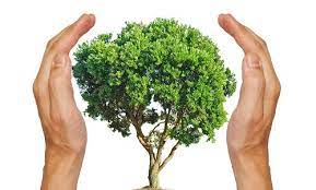 However, whether the responsibility of protecting our environment is supposed to be taken by governments has become a controversial. Mps And Environmental Protection