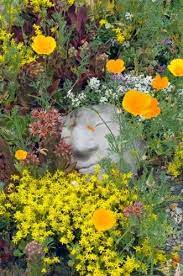 The plants listed below are appropriate for california's flowering plants. 40 Drought Resistant Flowers And Plants Birds And Blooms Drought Resistant Plants Drought Resistant Landscaping Drought Tolerant Garden