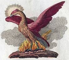It was a land of unimaginable perfection and beauty and was said to exist somewhere beyond the brilliance of the sun. Phoenix Mythology Wikipedia
