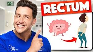 Doctors Nominate the Most Important Organ