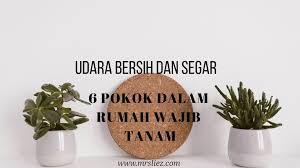 Meletakkan pokok hidup didalam rumah adalah. Tak Perlu Alat Pembersih Udara 6 Jenis Pokok Hiasan Bantu Bersihkan Udara Di Dalam Rumah Mrsliez Com