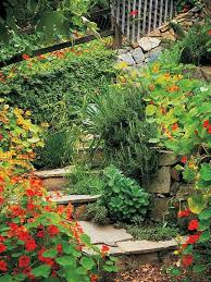 Garten Am Hang Anlegen Ideen Optimale Losungen Fur Hanggestaltung Garten Garten Am Hang Und Gartenplanung