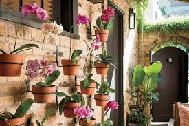 Caranya mudah, hasil yang dapat dipanen pun bisa berlimpah jika tanaman diberikan nutrisi hidroponik yang baik. 7 Tanaman Hias Hidroponik Yang Bikin Rumah Makin Cantik