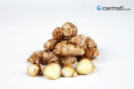 Daun sirih muda sebanyak 5 gram, ditambah bawang putih 5 gram, 1 butir telur, dan 50 gram kucai. Inilah Manfaat Kencur Untuk Kesehatan Yang Wajib Diketahui Cermati Com