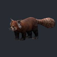 3d Model Red Panda C4d Obj 3ds Fbx Ma Lwo 93993