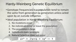 Suppose in a population of plant species, a gene has two allele, 'a' n 'a' as shown by hardy and weinberg, alleles segregating in a population tend to establish equilibrium with. Evolution Brief History Of Evolution Originally Most Scientists Believed Species Were Permanent And Unchanging With The Discovery Of Fossils Of Unique Ppt Download