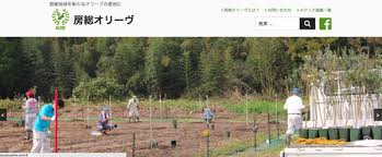 五十嵐ゆかり 公式ブログ 千葉県で国産オリーブの栽培 房総オリーヴ様のホームページ及びコンテンツのディレクションを担当しました Powered By Line