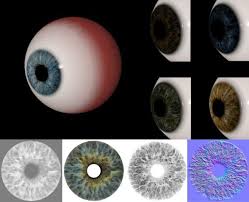 Eye Iris Textures Free 3d Textures Eye Texture Texture Download