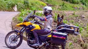 Dog Travels On Adventure Motorcycle On 2 Wheels And 4 Paws Youtube Adventure Motorcycling Motorcycle Adventure Travel Dog Travel