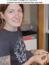 Impresionante cantidad de zorros en mi jardín