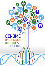 Mendel's experiments, between 1856 and 1863, revealed how traits are passed down from parents. Genome Unlocking Life S Code Closing Symposium Features Genomics Global Health And The Future