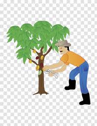 Other characters like doraemon, goku, donald dunk, sonic, kakashi, snoopy, etc. Drawing Litmangerson Associates Llp Illustration Signage Design Graphics Cacao Tree Banano Silhouette Transparent Png