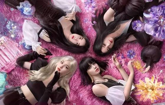 Wallpaper Fox, rose, Asian, Jenny, the view from the top, vocalist, Lisa,  beautiful girls for mobile and desktop, section музыка, resolution  3840x2160 - download