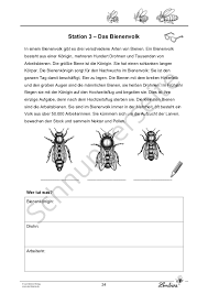 Die Biene Lernbiene Verlag Kostenlose arbeitsblätter und unterrichtsmaterial zum ausdrucken für sachunterricht in der 3. die biene lernbiene verlag