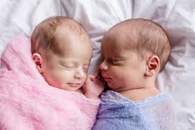 See more of littleton moms on facebook. Newborn Baby Family Photographer Littleton Colorado Maternity Lifestyle