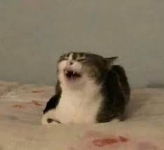 We did not find results for: Fernanda Aguirre Fercha Ac Twitter