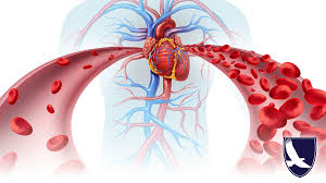 Image result for Anemia