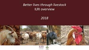 Ilri Overview December 2018 Life Is Good Ghg Emissions Developed Economy