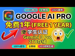 白嫖Google AI Pro 一整年！Gemini 3 Pro + 2TB 存储+ VEO 视频 ...
