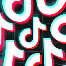 How To Change Your Profile Name And Username On Tiktok The Verge