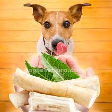 Can Dogs Eat Horseradish Is Horseradish Safe For Dogs Dog Leash Pro