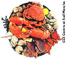 Conseils De Preparation Des Produits De La Peche