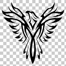 Bald Eagle Black And White Drawing Eagle Hawk Kite Bird Png Image With Transparent Background Eagle Drawing Eagle Painting Eagle Images