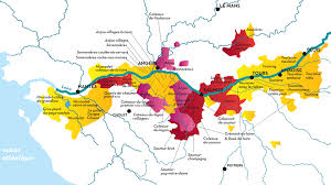 2014 2015 Muscadet Contrasting Vintages Ripe For