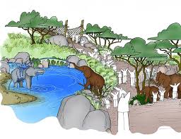 portico group encounter africa cheyenne mountain zoo zoo design zoo