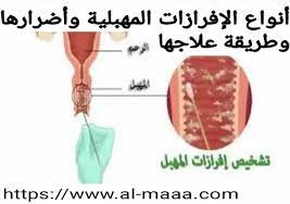 شكل افرازات بداية الحمل بالصور بداية من الشهر ال1 حتى ال 9