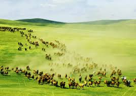 呼伦贝尔草原摄影路线【草原深度游】经典线路5日游[呼伦贝尔海拉尔]-内蒙古-绿野各地-绿野户外网