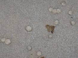 Sometimes you may need to go to hospital. More Jelly Blobs On The Beach Bay To Beach Life