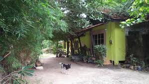 The largest island is pulau langkawi with a population nearing 60,000 (that's about 2,500 utopians). A Thai Massage To Remember Review Of Rumah Holistic Langkawi Malaysia Tripadvisor