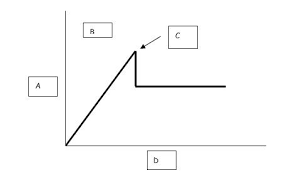 Biomechanics Exam 2 Diagram Quizlet