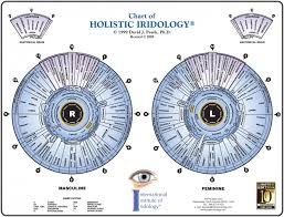 Iridologist Chart Iriscope Iridology Camera Iriscope