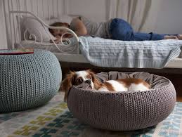 As the title of this article suggests, learning how to make a dog bed like this one requires no sewing. Pets