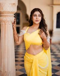 Sonarika Bhadoria Weds Vikas Parashar in Regal Ceremony - Telugu News -  IndiaGlitz.com