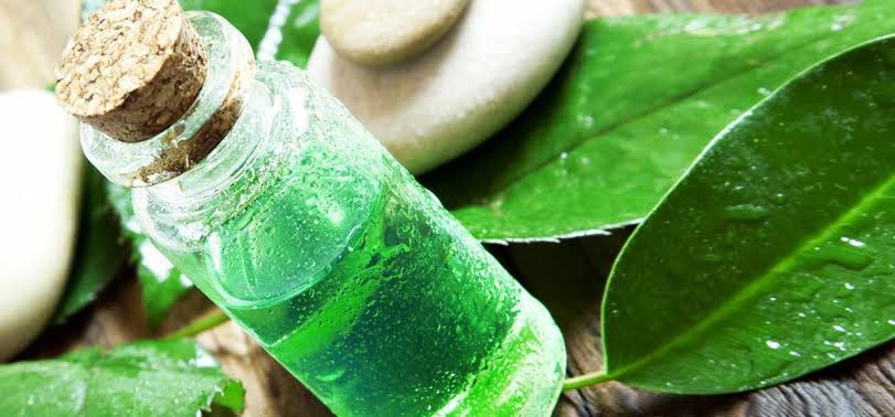 Aceite de árbol de té