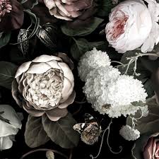 Maybe you would like to learn more about one of these? Black Floral Desktop Background 1134x1134 Download Hd Wallpaper Wallpapertip