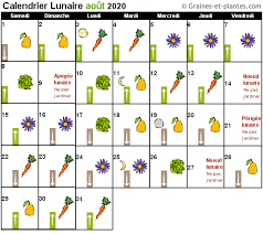 Respecter les phases lunaires tend à produire des plantes plus résistantes, ce qui permettra d'utiliser moins de. Calendrier Lunaire Aout 2020