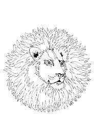 Deze mandala's gaan allemaal over dieren. 41 Mandala Dieren Volwassenen